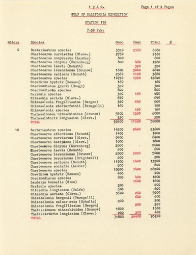 1940 Gulf of California Expedition Station 179 7:30 P.M.. List of Species