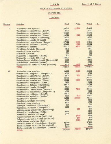 1940 Gulf of California Expedition Station 179 7:30 A.M. List of Species