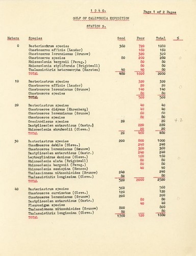 1940 Gulf of California Expedition Station 9 List of Species