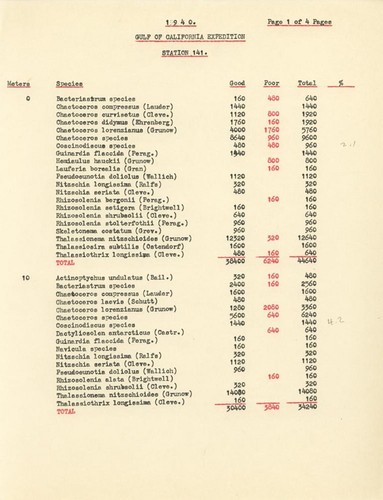 1940 Gulf of California Expedition Station 141 List of Species