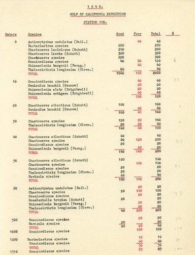 1940 Gulf of California Expedition Station 110 List of Species