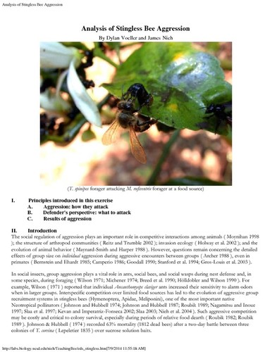 Analysis of Stingless Bee Aggression