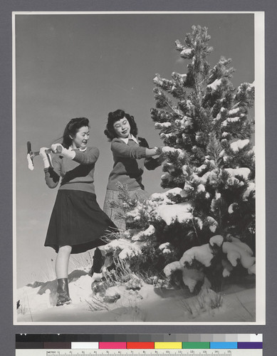 [Girls chopping down Christmas tree]