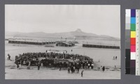 [crowd watching sumo match, view of camp in background]