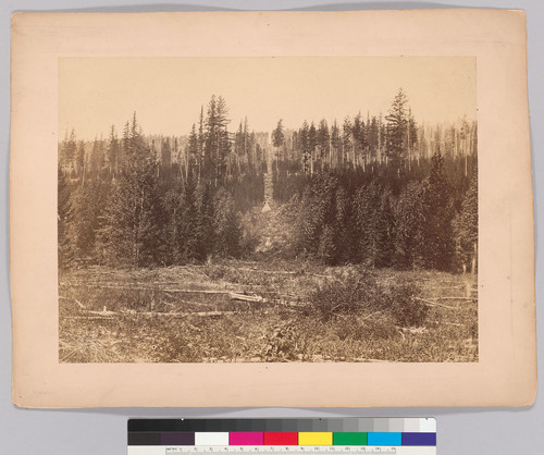 [Boundary line cut with cairn at Kishenehn, looking west, 1861.]