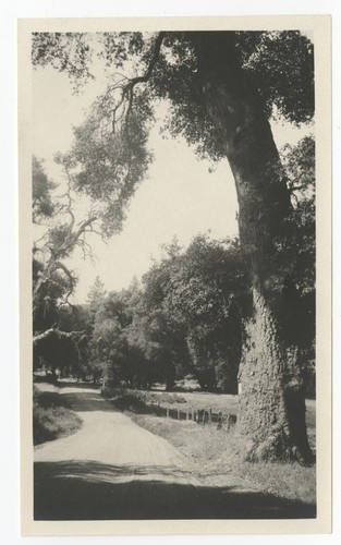 Road near Pine Hills