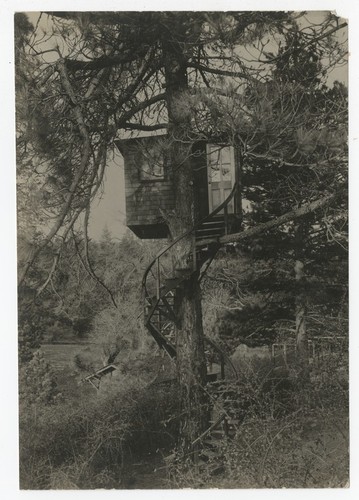 Tree house at Pine Hills