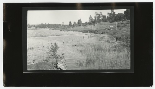 Lake Cuyamaca