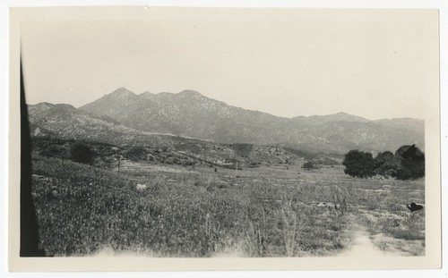 Landscape near Warner's Ranch