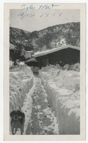 Snowfall at Fletcher family Eagle's Nest retreat, San Diego County