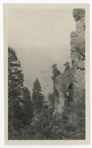 View of Grand Canyon