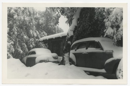 Snowfall near Fletcher family Eagle's Nest retreat, San Diego County