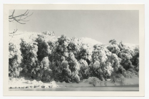 Snowfall near Fletcher family Eagle's Nest retreat, San Diego County