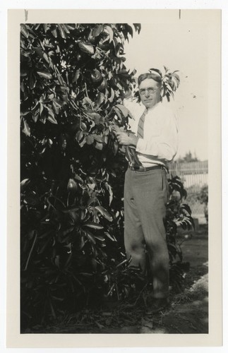 Man with avocado tree at Avocado Acres