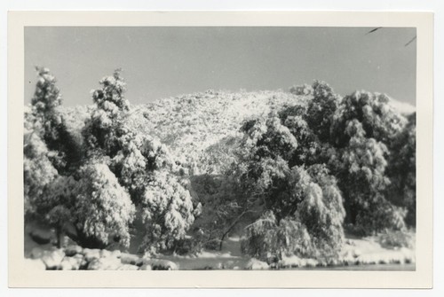 Snowfall near Fletcher family Eagle's Nest retreat, San Diego County