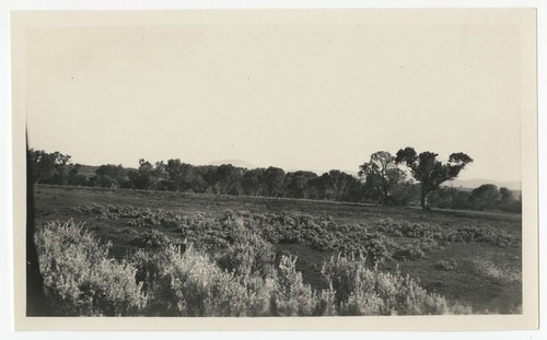 Fields at Warner's Ranch