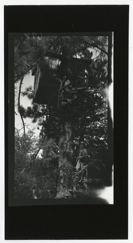 Man at tree house, Pine Hills