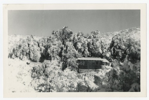 Snowfall near Fletcher family Eagle's Nest retreat, San Diego County