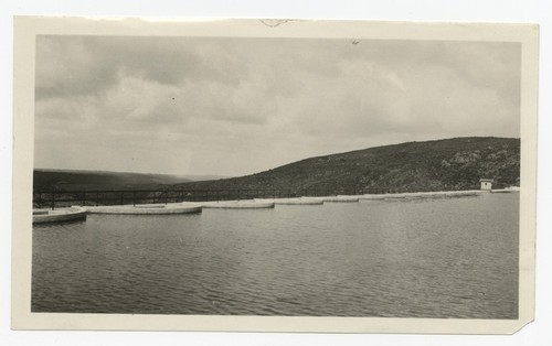 Lake Murray, with view of dam's edge