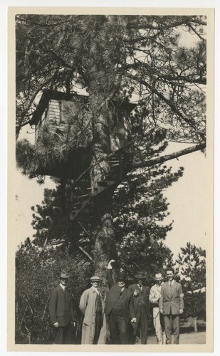 Group of unidentified men standing at the base of the Bird Cage tree house, Pine Hills