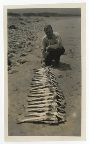 Fishing, Baja California