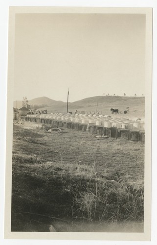 Sections of concrete pipeline for Sweetwater siphon