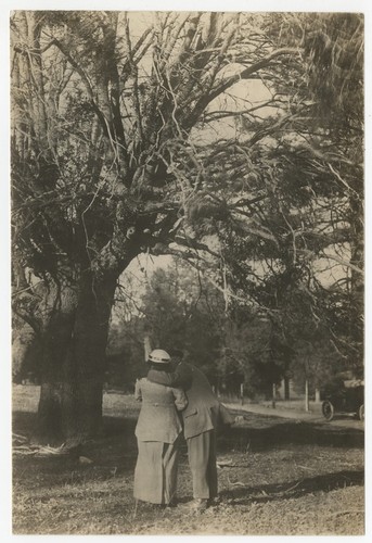 Ed and Mary Fletcher under tree