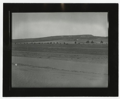 Solana Beach landscape