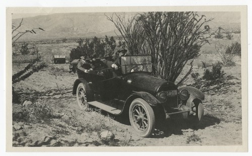 People driving near Borrego Springs