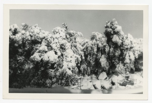 Snowfall near Fletcher family Eagle's Nest retreat, San Diego County