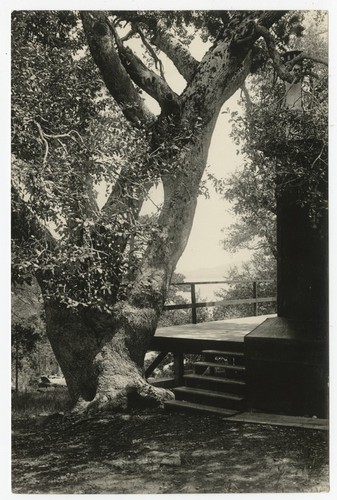 Deck of cabin at Pine Hills