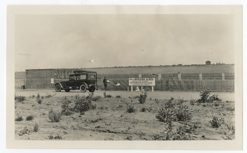 Avocado Acres and nursery