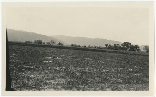 Fields at Warner's Ranch