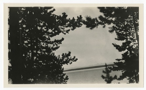 Lake view, Yellowstone National Park