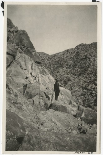 James Morse at Mountain Springs survey