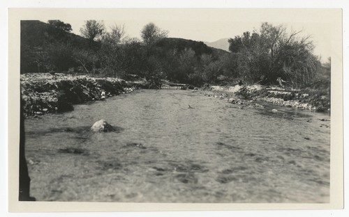 Creek at Warner's Ranch