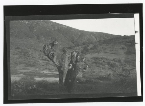 Man standing by tree