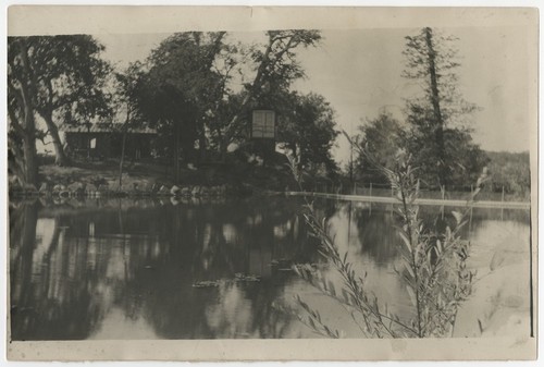 Tree house at Eagle's Nest