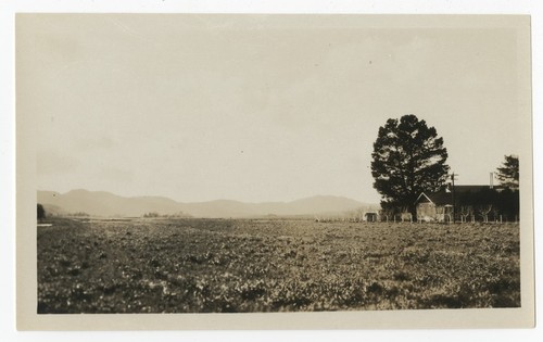 Farmland, San Diego County