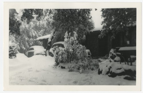 Snowfall near Fletcher family Eagle's Nest retreat, San Diego County