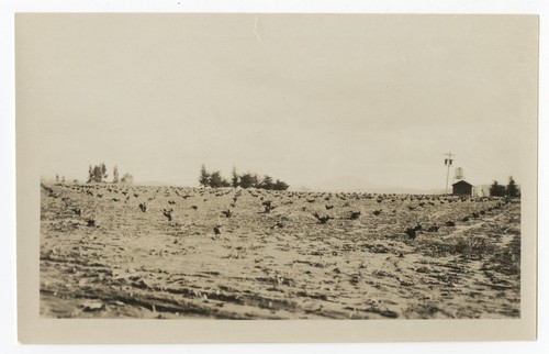 Farmland, San Diego County