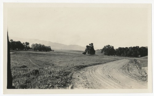 Unpaved road at Warner's Ranch