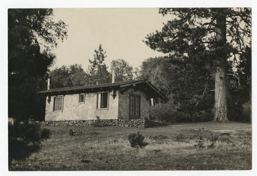 Cabin at Pine Hills