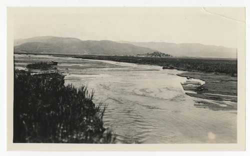 Floodplain at Warner's Ranch