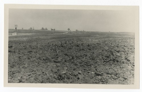 Field at Cardiff Heights