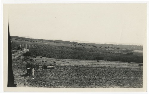 Fields and orchard at Warner's Ranch