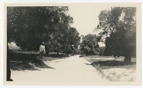 William G. Henshaw on road near Warner's Ranch