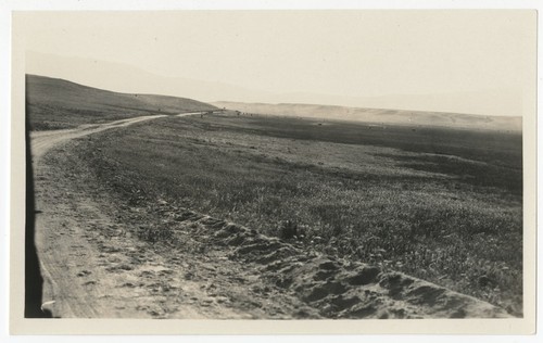 Unpaved road at Warner's Ranch