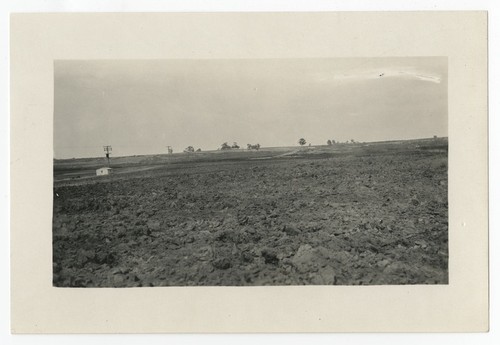 Field at Cardiff Heights