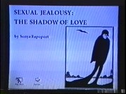 Sexual Jealousy: The Shadow of Love, A computer assisted interactive installation with music